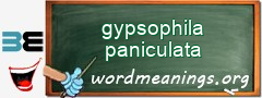 WordMeaning blackboard for gypsophila paniculata